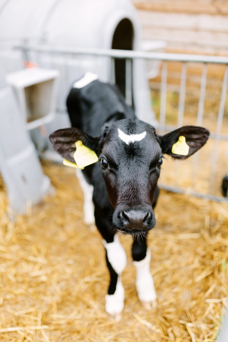  Farm Equipment and Technology Fund - FETF24